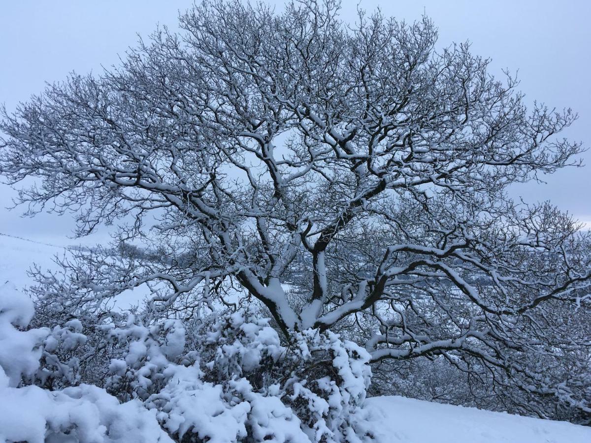 La’al Yam Sedbergh